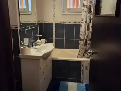 Baie utilata apartament vanzare Sector 3 Bucuresti